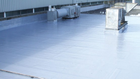 Liquid Waterproofing: Roof refurbishment of offices and canteen