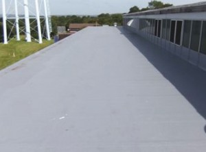 Proctor Roofing Liquid Roofing Solution