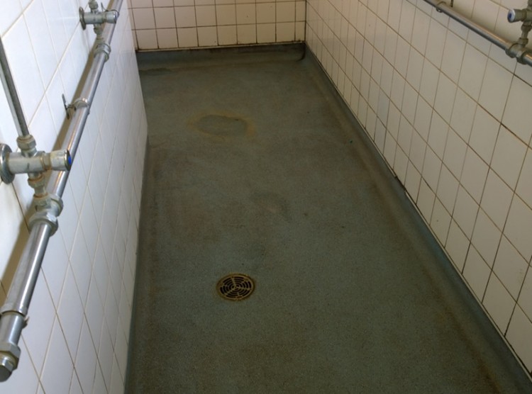 King Edward VII Academy Flooring King’s Lynn Proctor Roofing